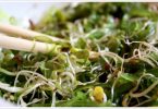 Salade composée à base d'algue