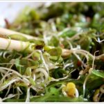 Salade composée à base d'algue