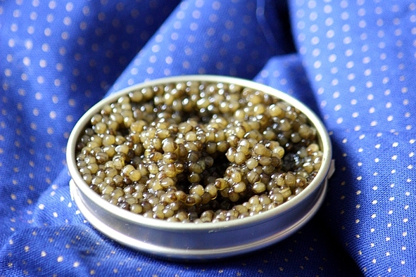 Caviar1