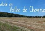 Balade en Vallée de Chevreuse