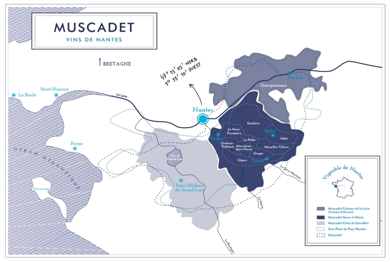 Où est produit le Muscadet ?